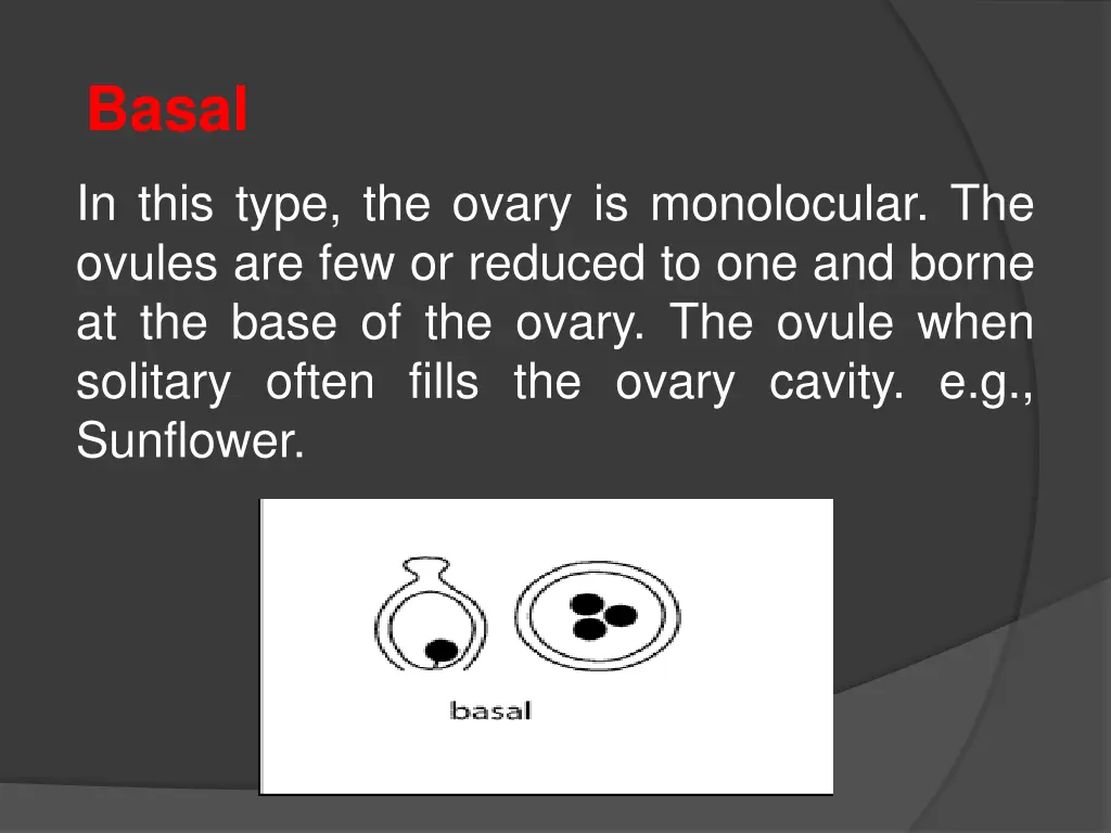 basal