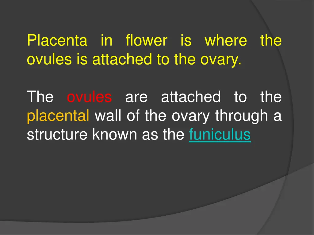 placenta in flower is where the ovules