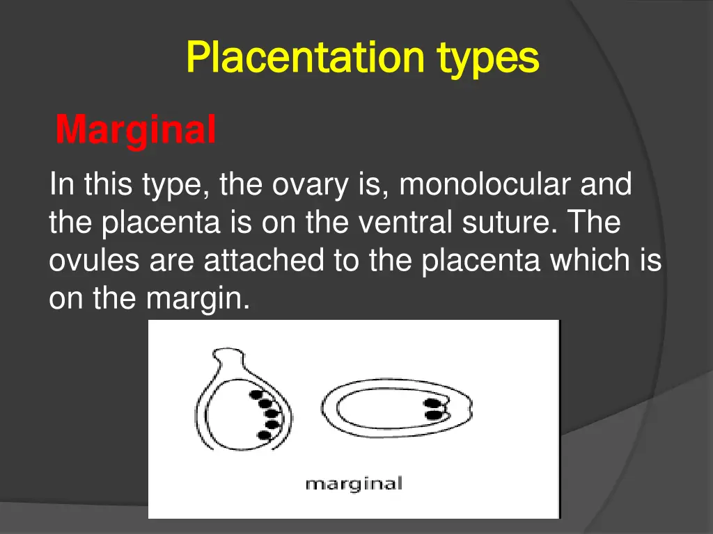 placentation placentation types