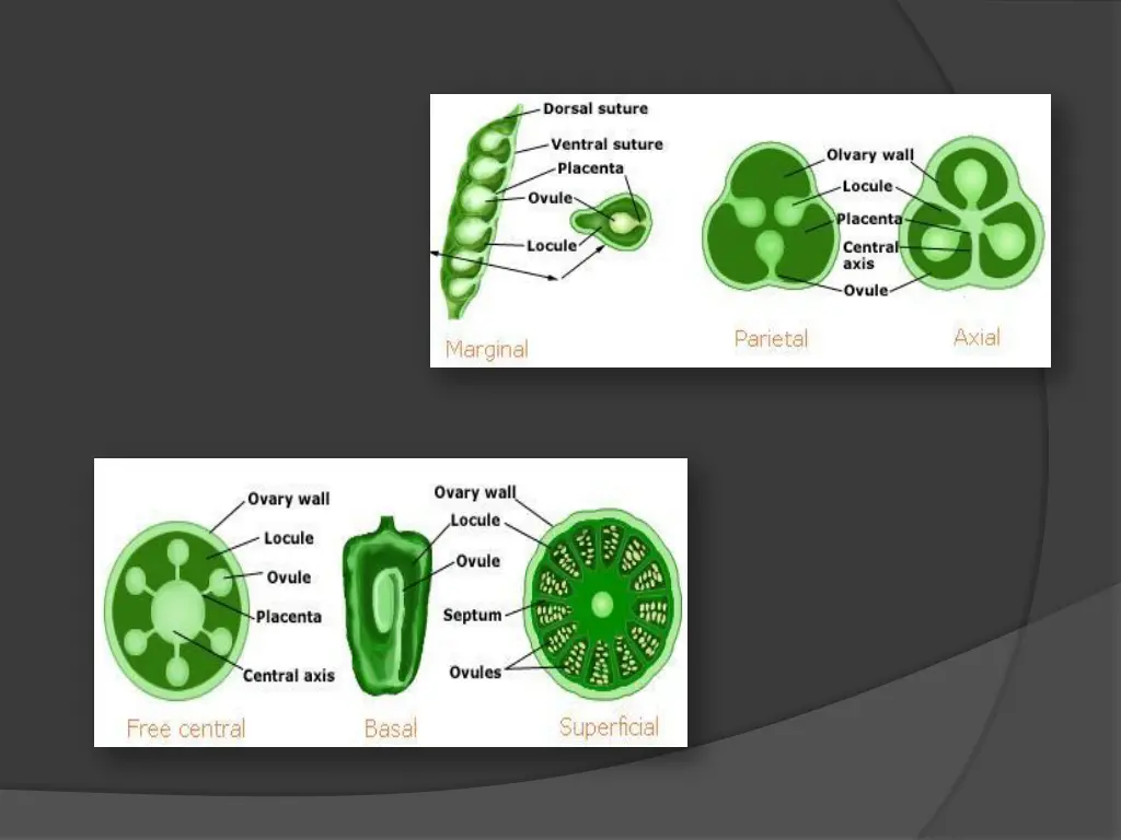 slide30