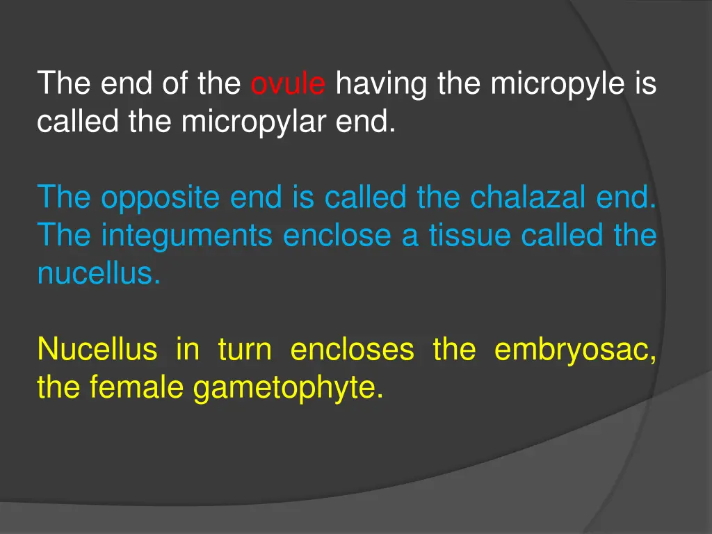 the end of the ovule having the micropyle