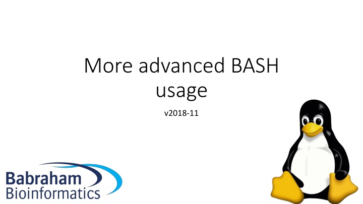 more advanced bash usage