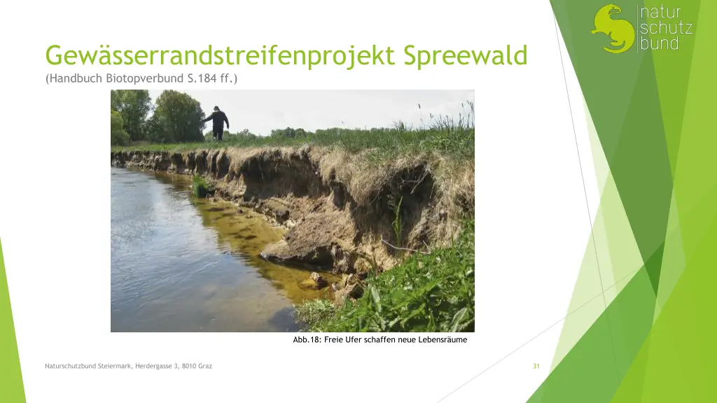 gew sserrandstreifenprojekt spreewald handbuch 2