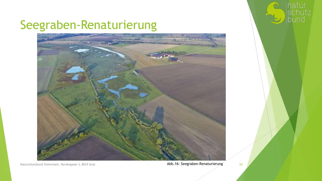 seegraben renaturierung