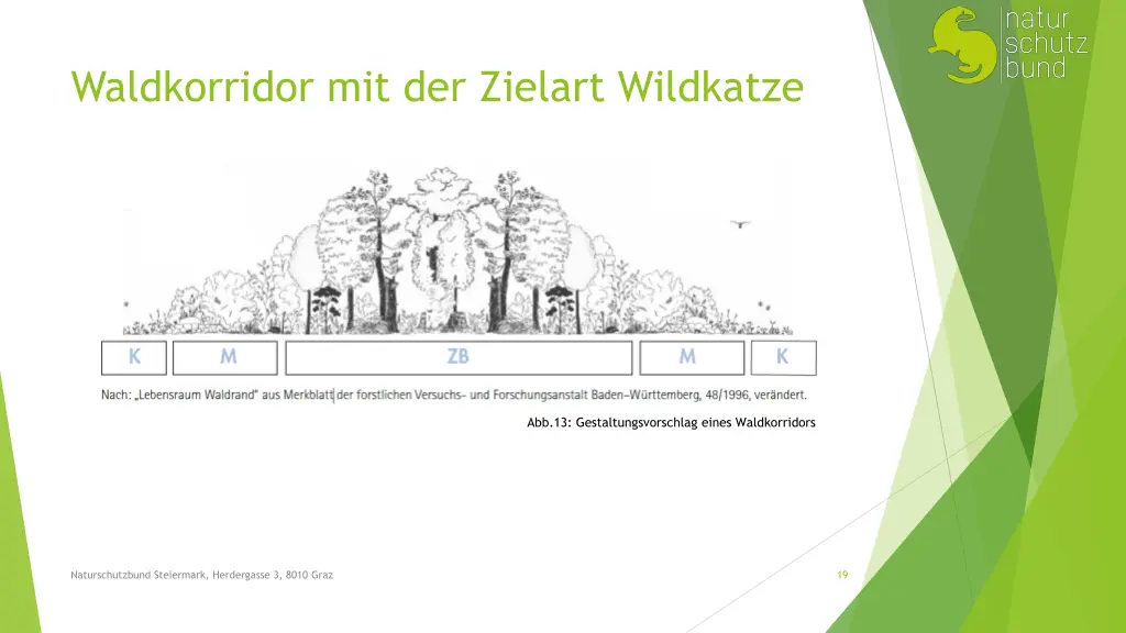 waldkorridor mit der zielart wildkatze