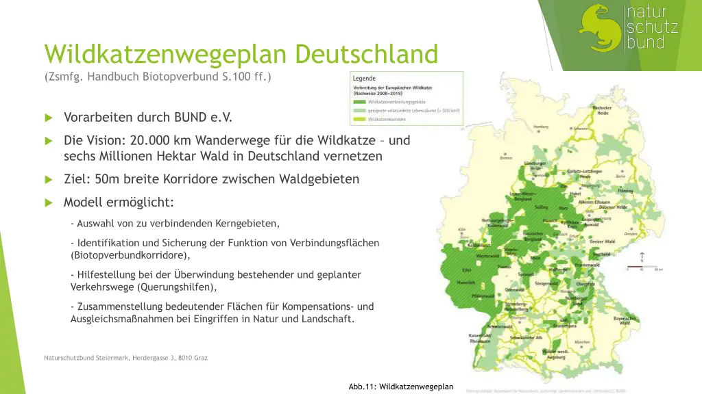 wildkatzenwegeplan deutschland zsmfg handbuch