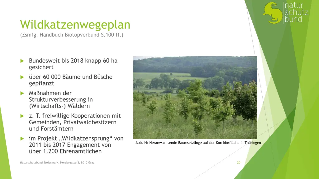 wildkatzenwegeplan zsmfg handbuch biotopverbund 1