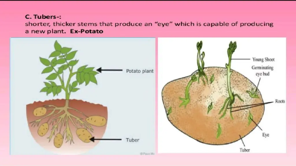 slide10
