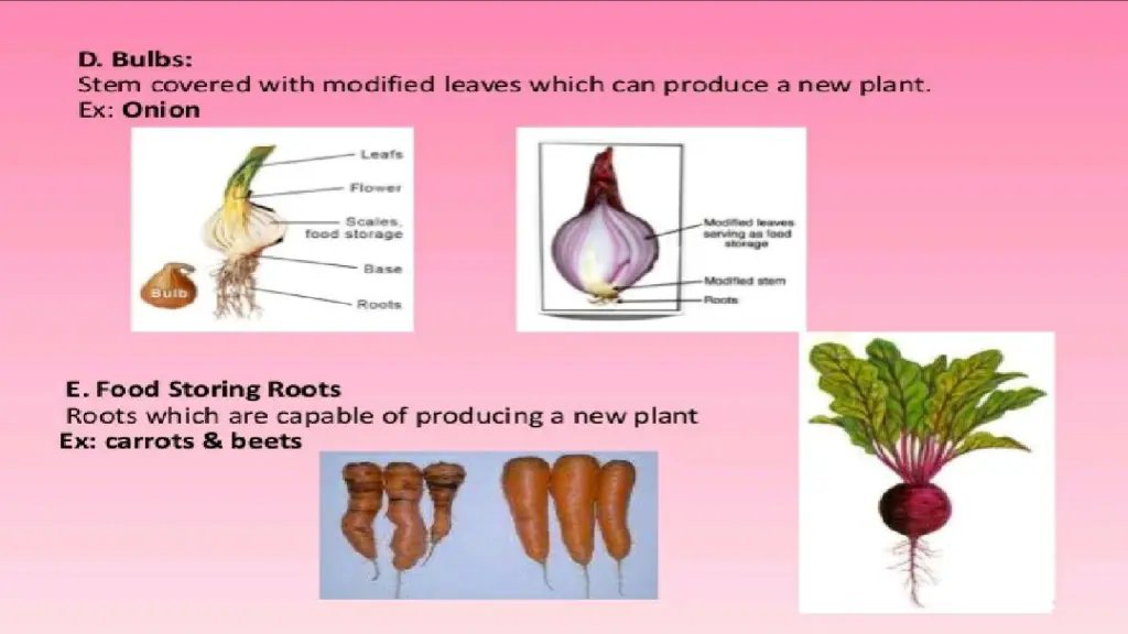 slide11