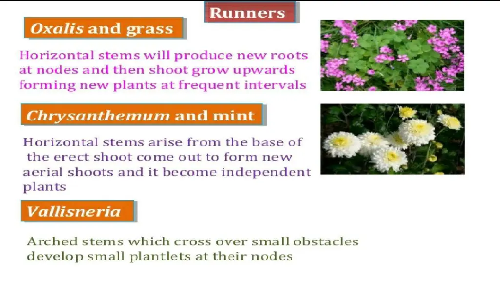 slide12