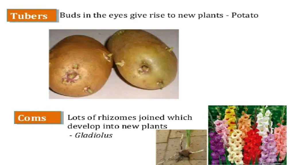 slide14