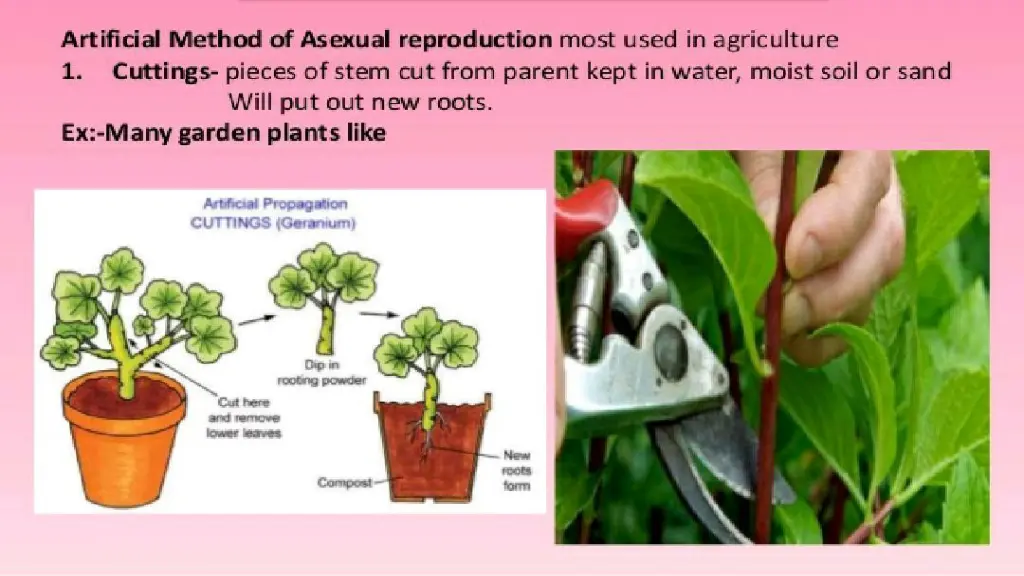 slide17