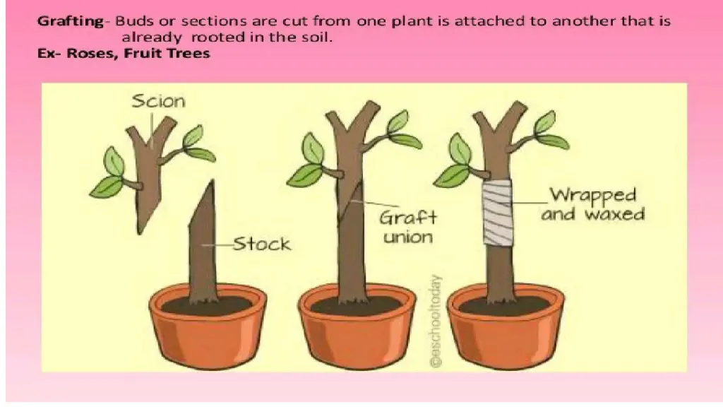 slide18
