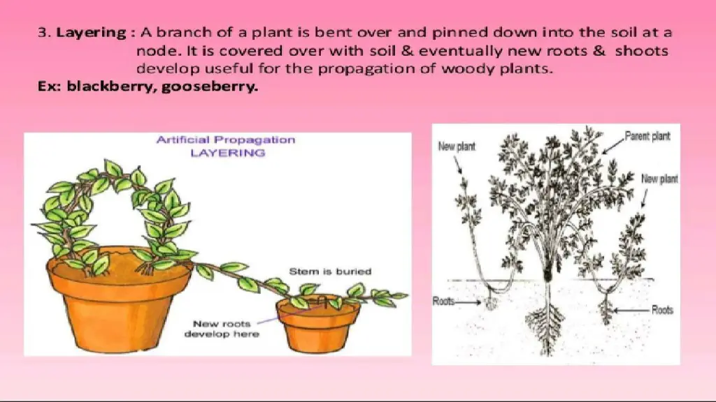 slide19