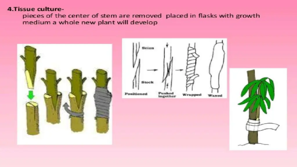 slide20