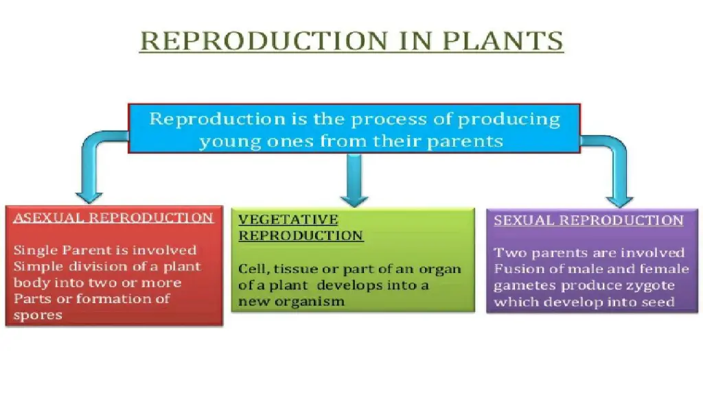slide3