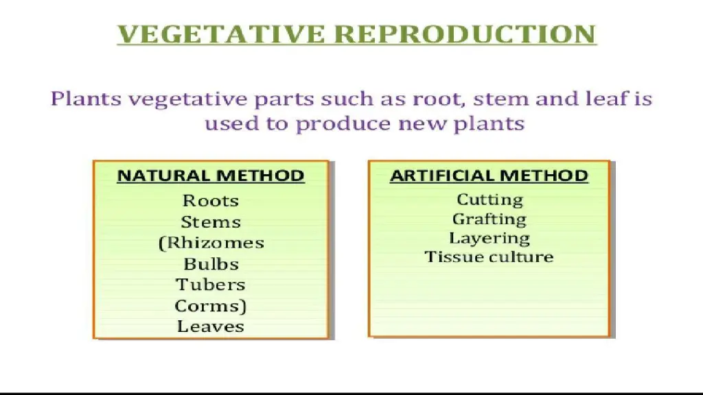 slide4