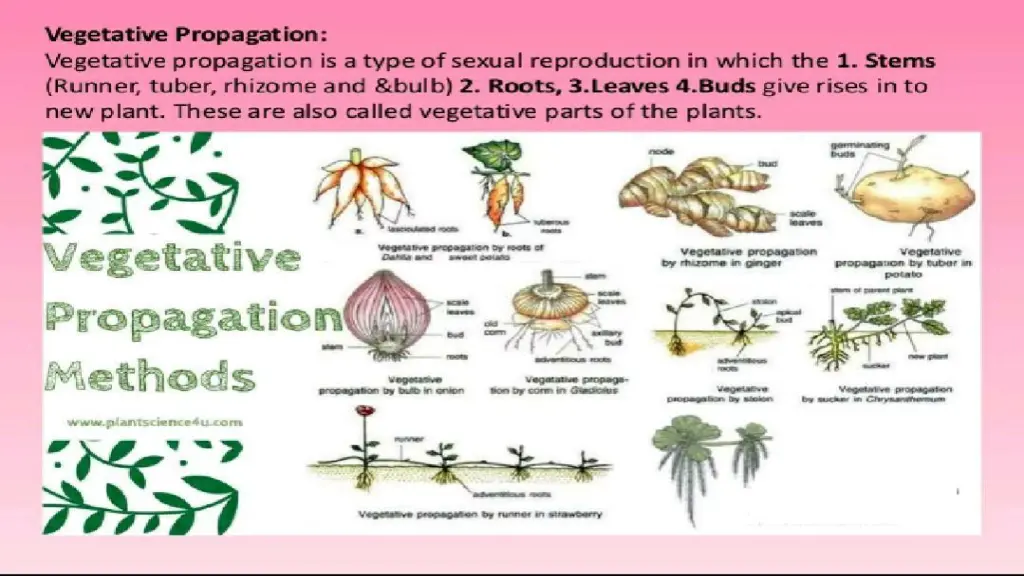 slide5