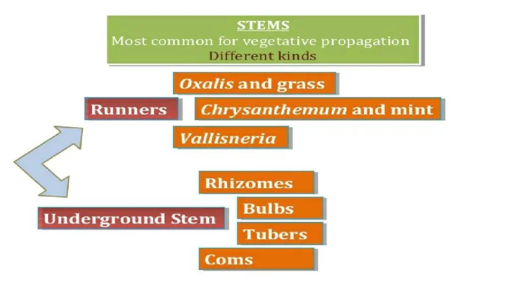slide7