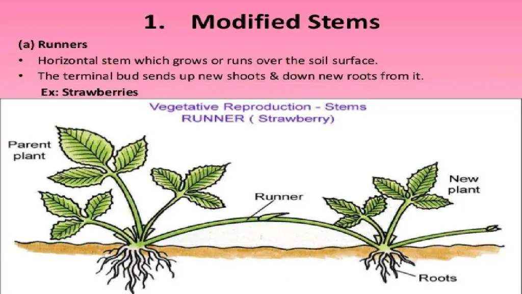 slide8
