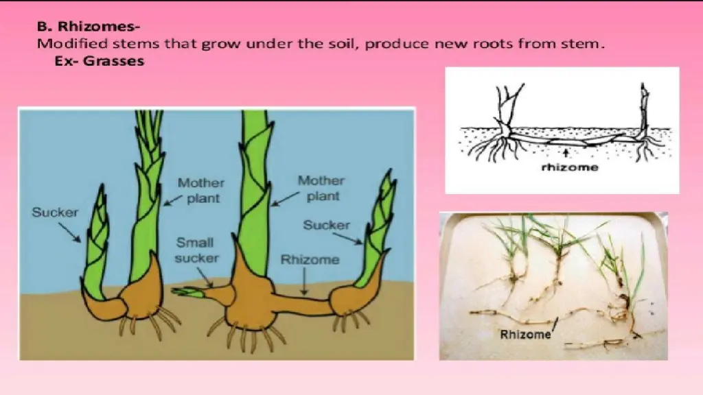 slide9