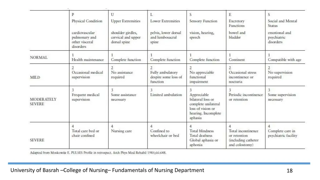 university of basrah college of nursing