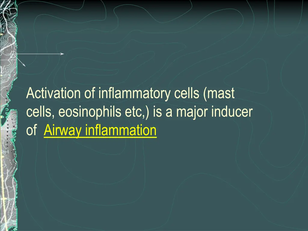 activation of inflammatory cells mast cells