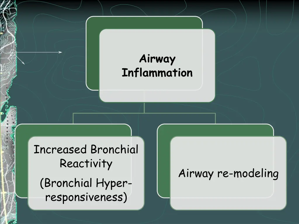 airway inflammation
