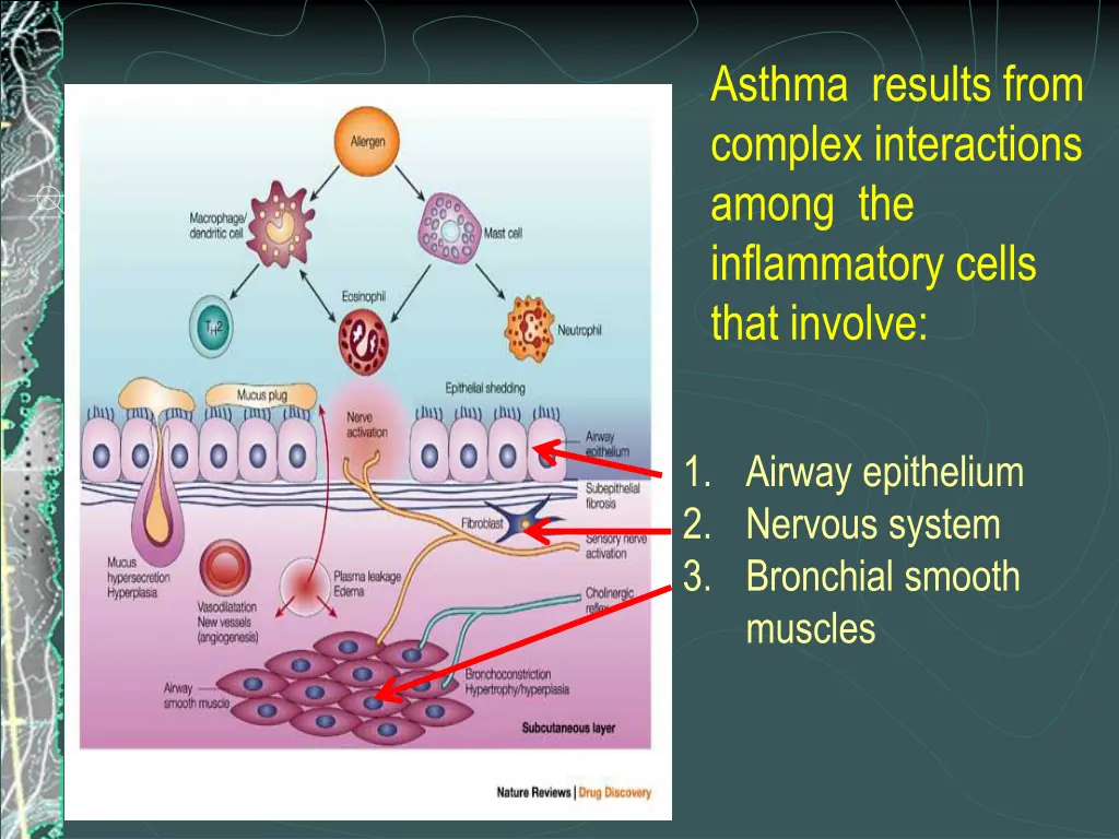 asthma results from complex interactions among