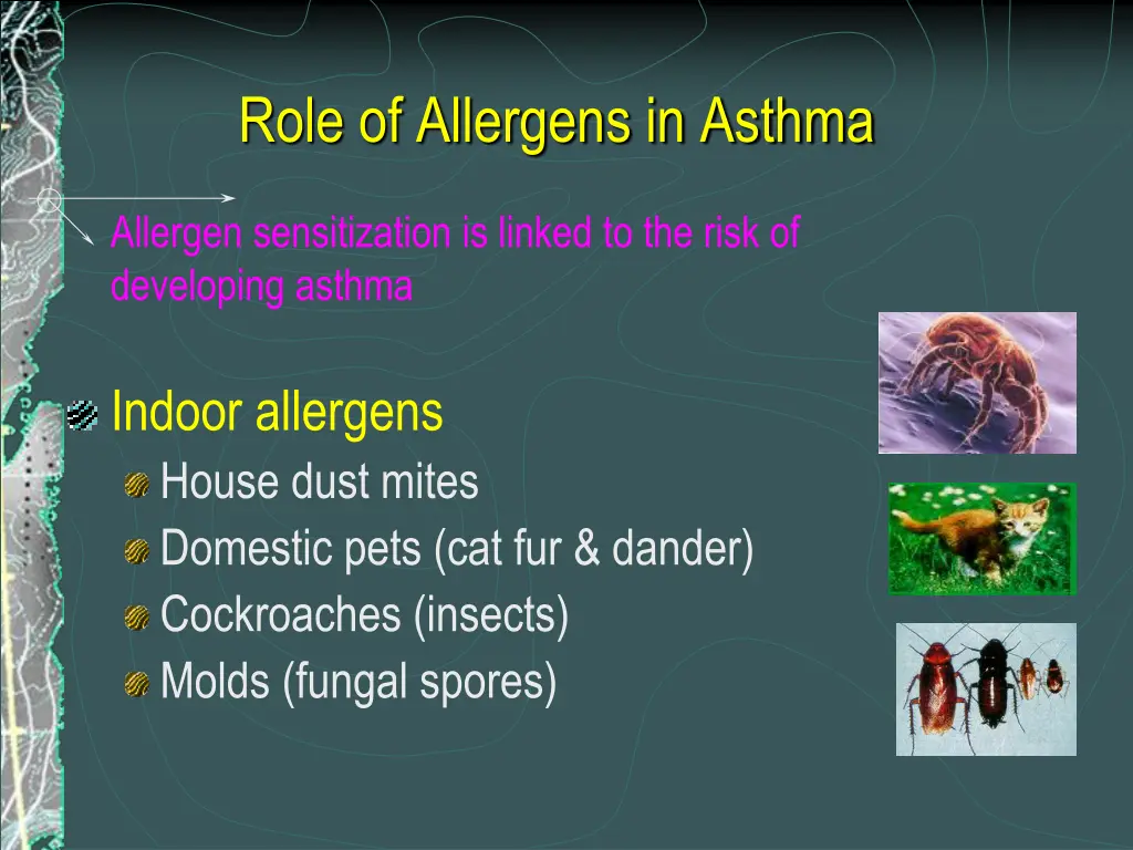 role of allergens in asthma