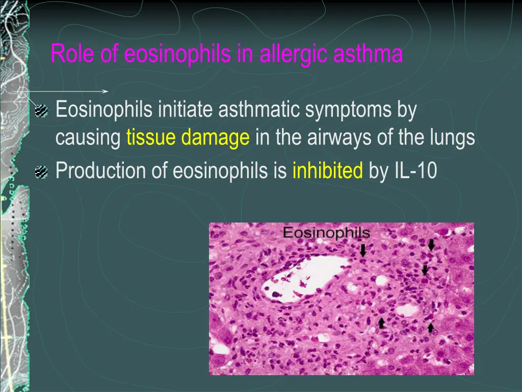 role of eosinophils in allergic asthma