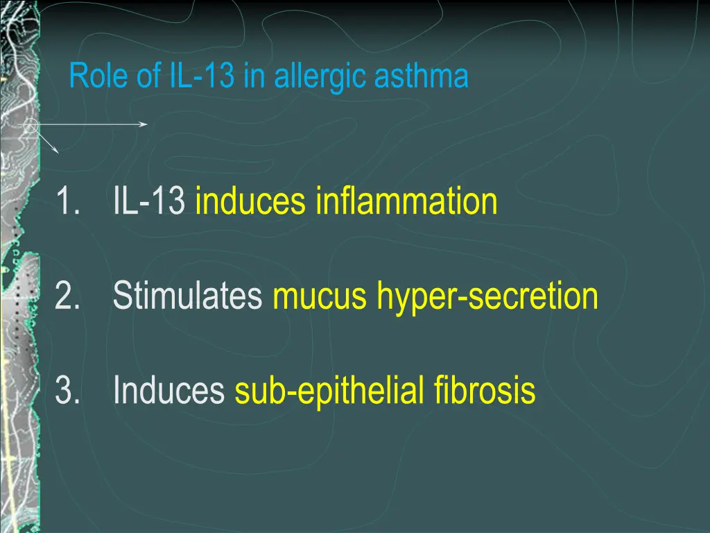 role of il 13 in allergic asthma