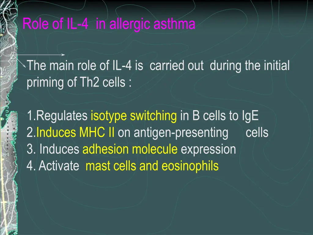 role of il 4 in allergic asthma