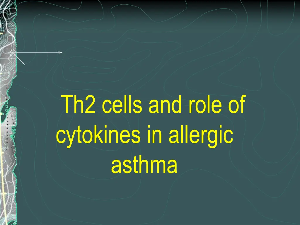 th2 cells and role of cytokines in allergic asthma