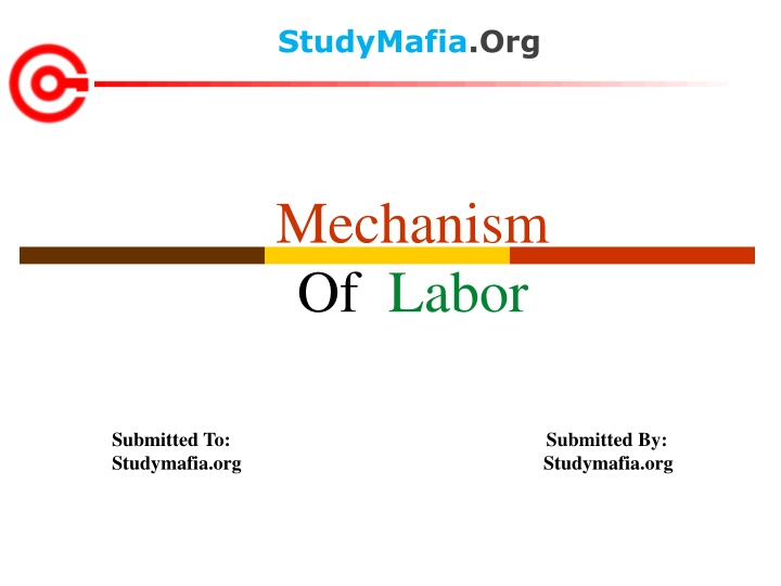 studymafia org