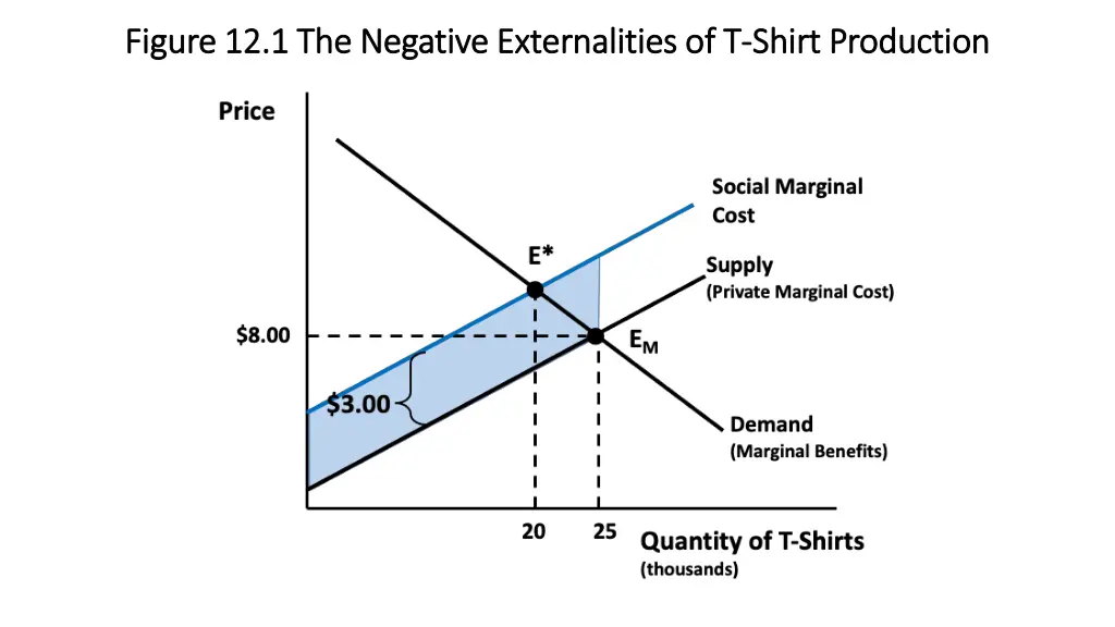 figure 12 1 the negative externalities