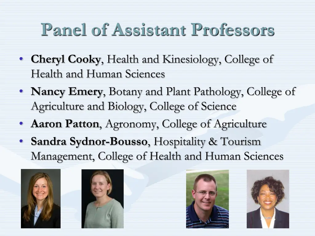 panel of assistant professors