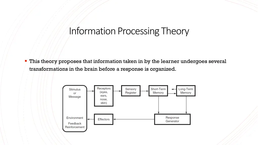 information processing theory