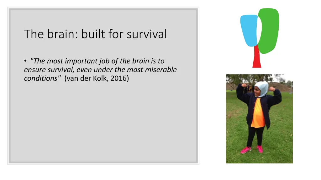 the brain built for survival
