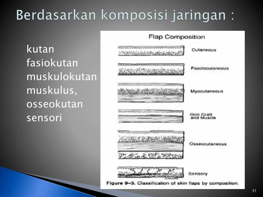 kutan fasiokutan muskulokutan muskulus osseokutan