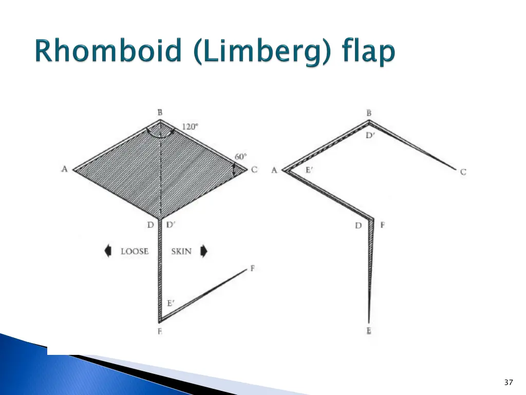 slide37
