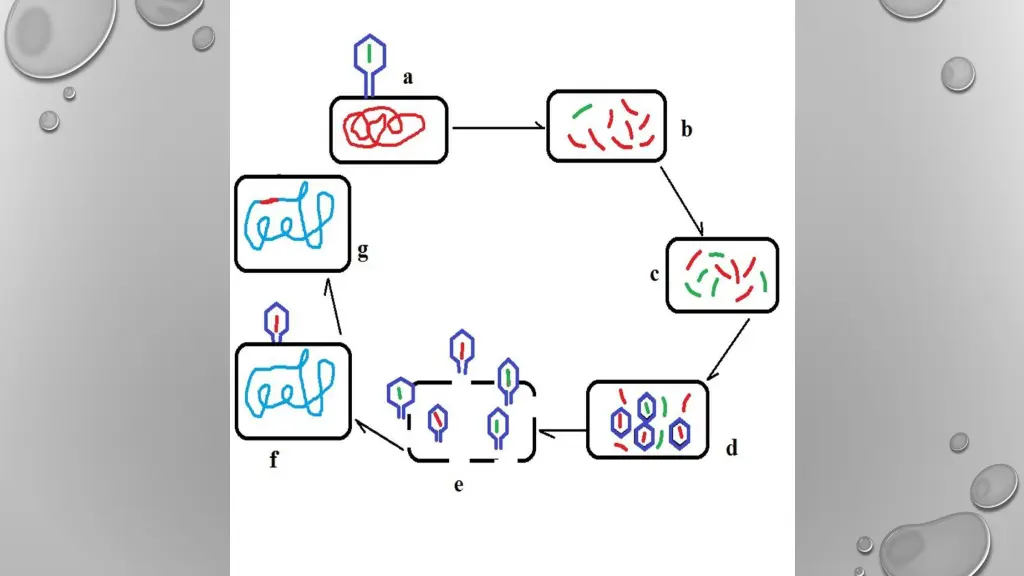 slide9