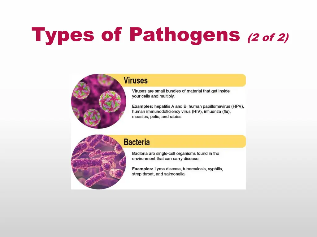 types of pathogens 2 of 2