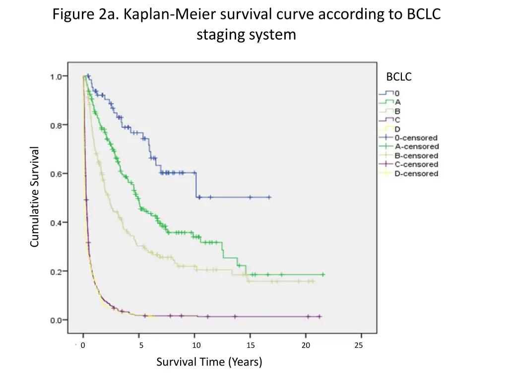 figure 2a kaplan meier survival curve according
