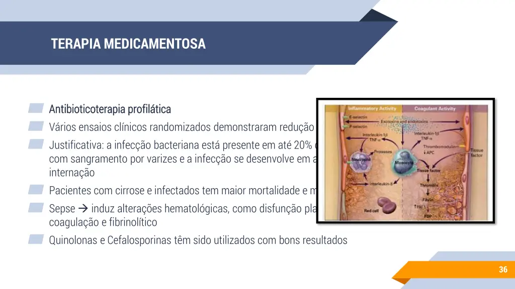 terapia medicamentosa 1