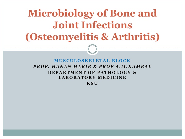 microbiology of bone and joint infections