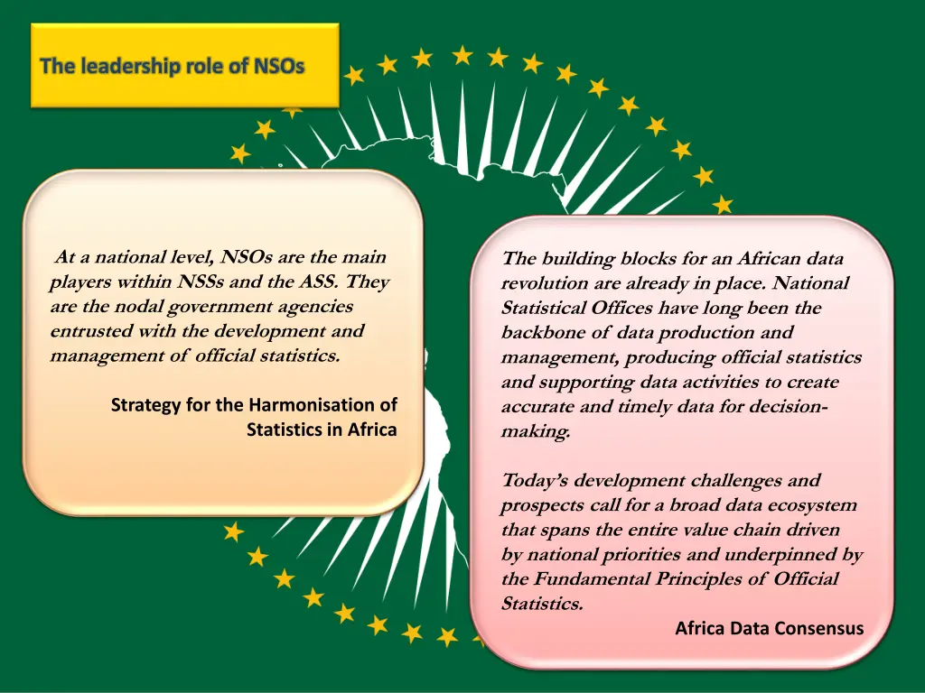 the leadership role of nsos
