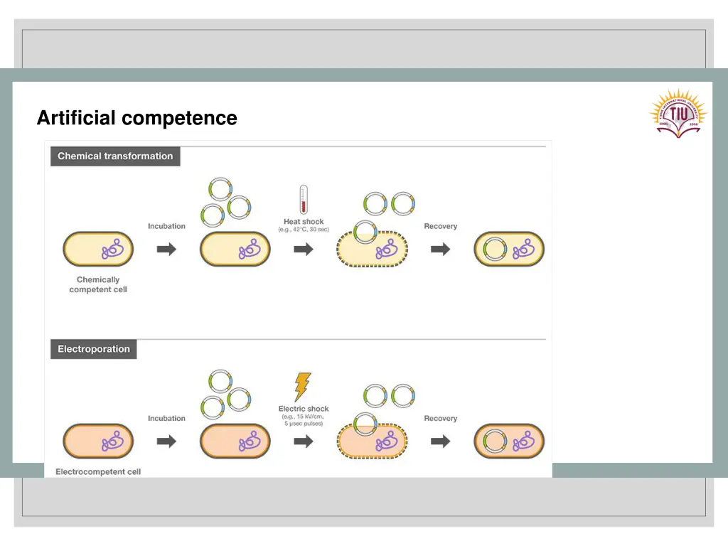 artificial competence 1
