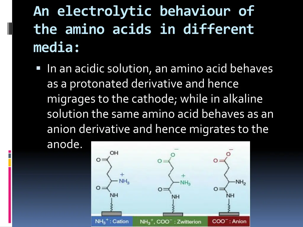 an electrolytic behaviour of the amino acids