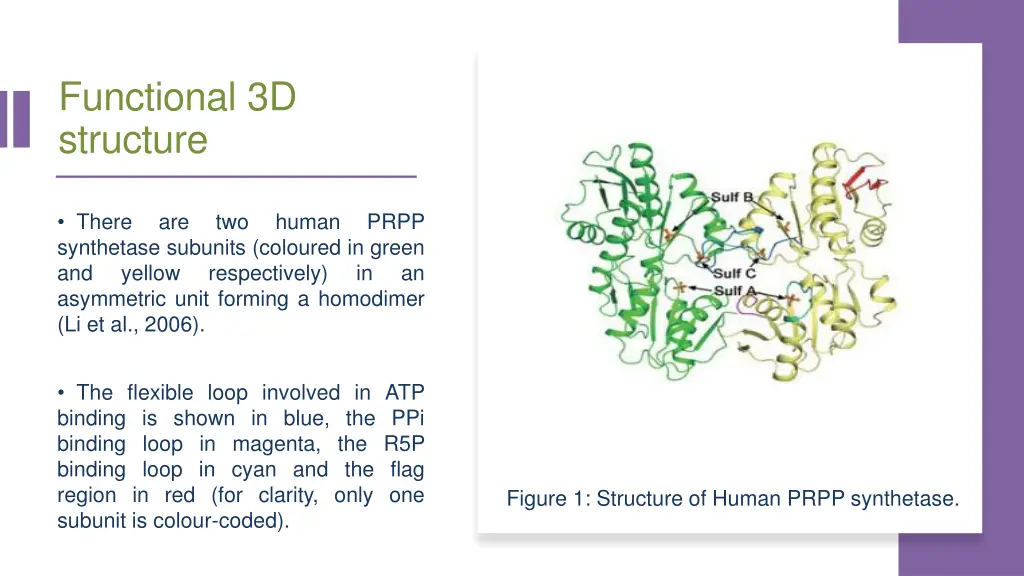 functional 3d structure